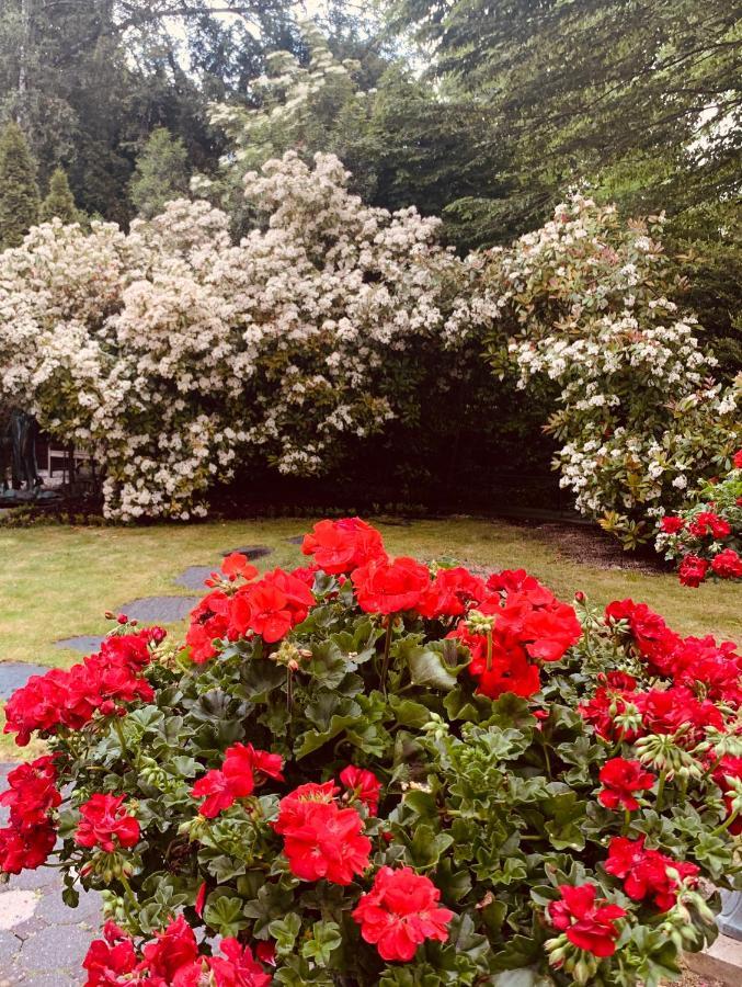 Villa Am Suedpark Bad Nauheim Esterno foto